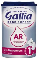Gallia Bebe Expert Ar 1 Lait En Poudre B/800g à ST-ETIENNE-DE-TULMONT