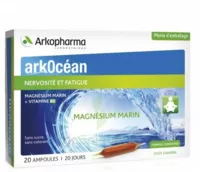 Arkocean Magnesium Marin Solution Buvable Caramel 20 Ampoules/10ml à ST-ETIENNE-DE-TULMONT