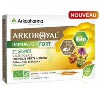 Arkoroyal Immunité Fort Solution Buvable 20 Ampoules/10ml à ST-ETIENNE-DE-TULMONT