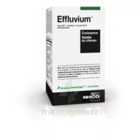 Aminoscience Santé Dermatologie Effluvium® Gélules B/168 à ST-ETIENNE-DE-TULMONT